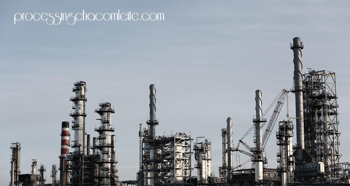 processing.chacomleite.com